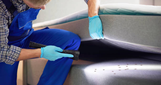 Best Cockroach Control Services  in Kalispell, MT